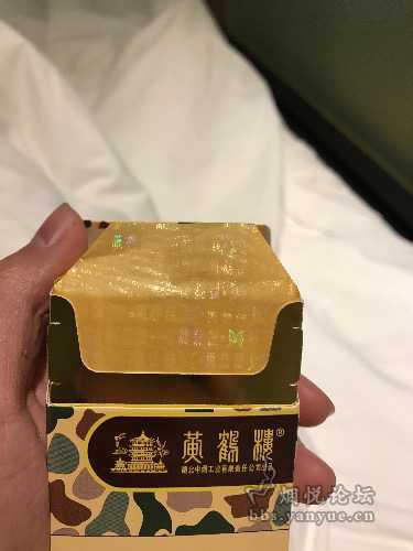 探索未来色彩世界，最新大彩揭秘