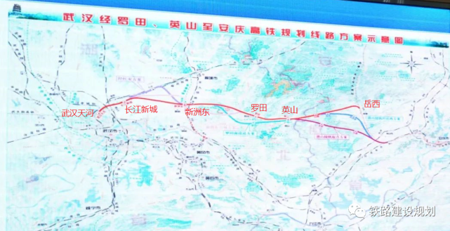 红安高铁最新动态全面解析