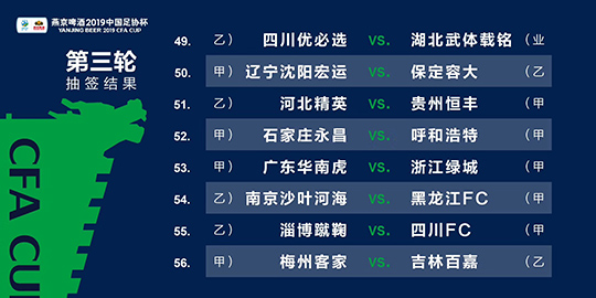 一码一肖100%精准生肖第六,实效性解读策略_限量版66.358