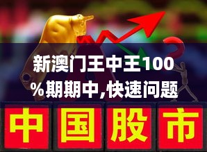 新澳门王中王100%期期中,最新解答解析说明_轻量版70.988