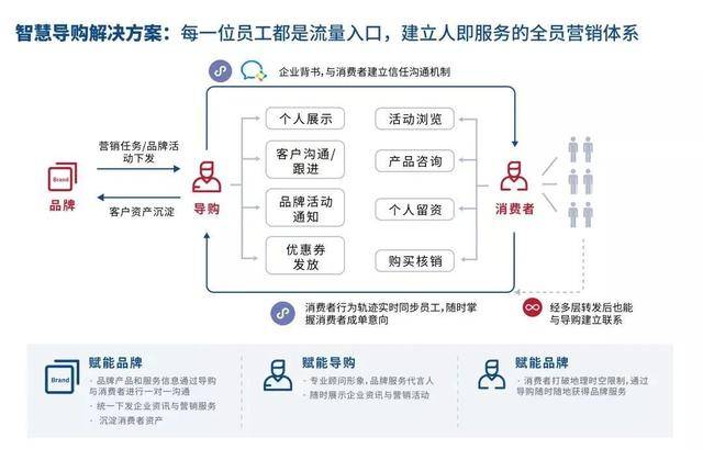 494949澳门今晚开什么454411,数据解答解释定义_交互版19.362