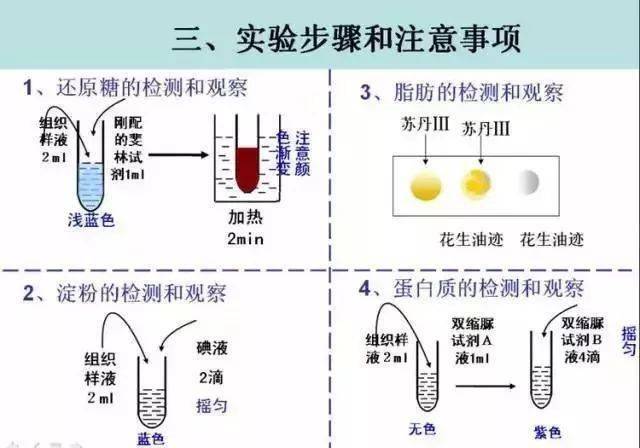 新奥门正版资料免费,理论分析解析说明_X版29.506