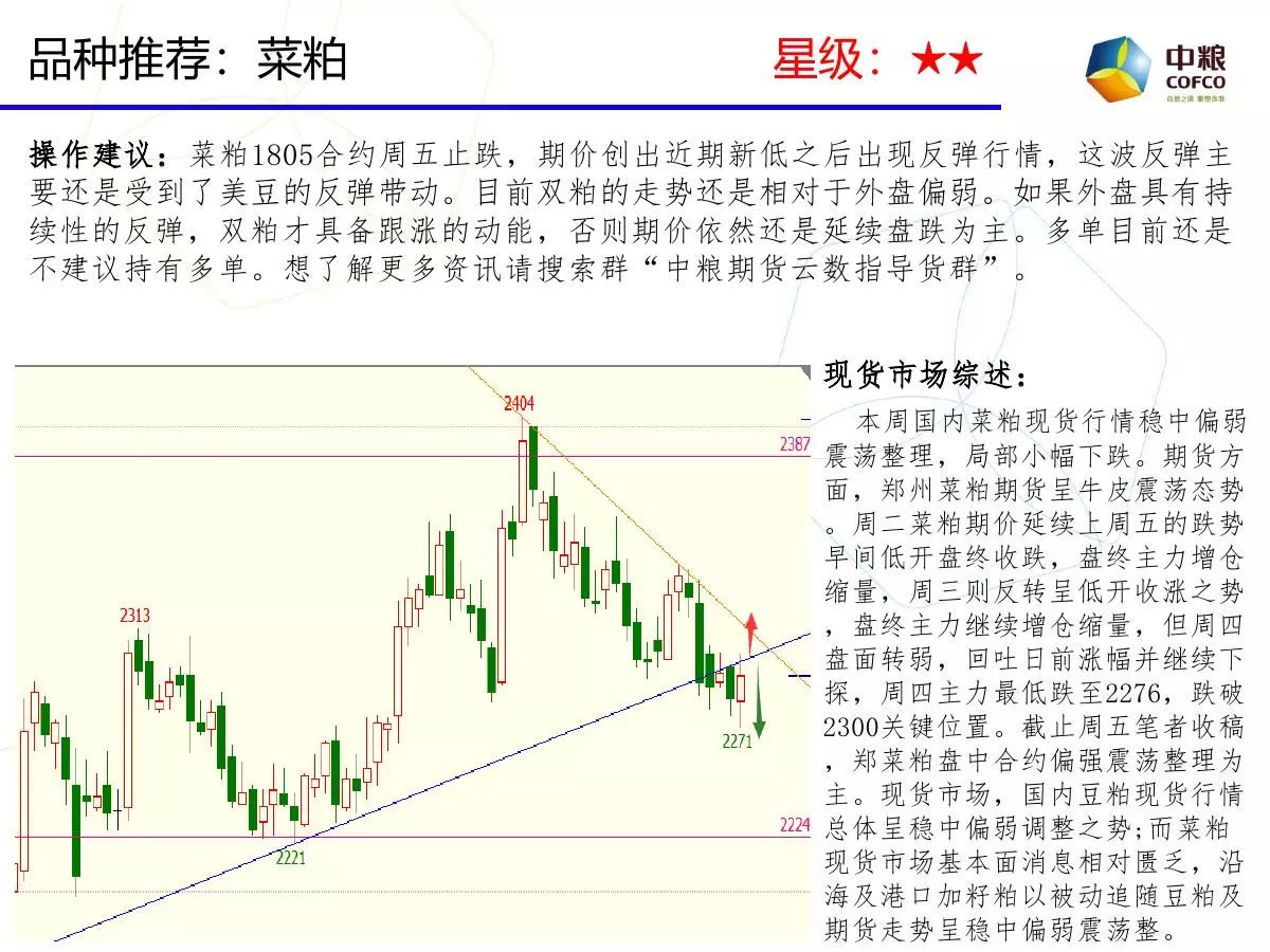 澳门一码一肖一特一中是合法的吗,整体规划执行讲解_6DM51.481