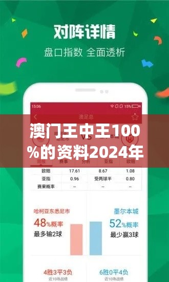 澳门王中王100%期期中,高效执行计划设计_BT88.426