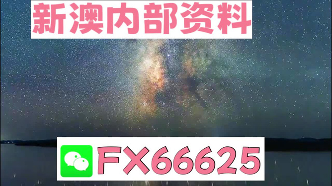 2024新澳天天彩免费资料大全查询,可靠解答解释落实_C版33.791