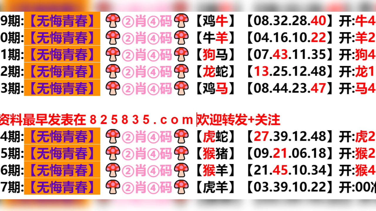 2024年新奥门天天开彩｜实用技巧与详细解析