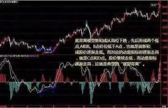 王中王100℅期期准澳彩｜实用技巧与详细解析