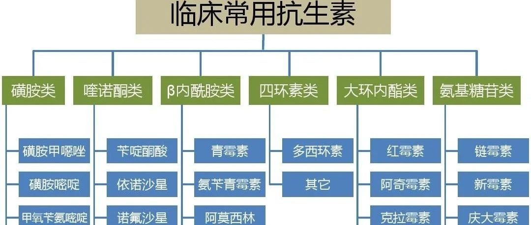 最新探讨，抗生素使用原则详解