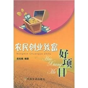 探索未来商业趋势，最新创业项目网启动新篇章