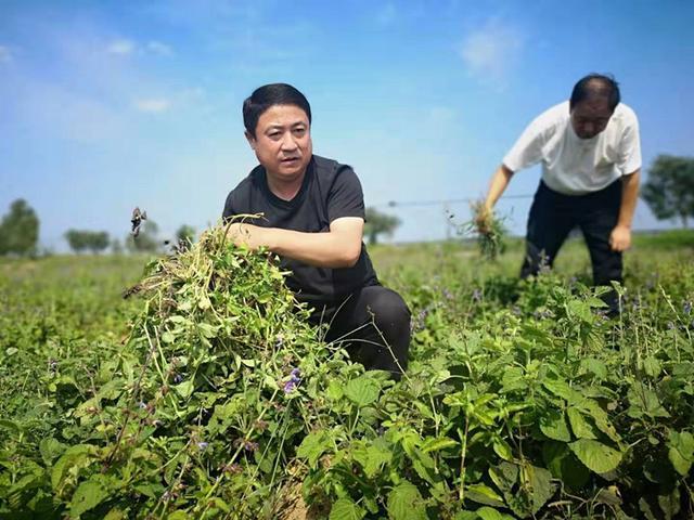 兰陵县鲁城镇最新发展动态概览