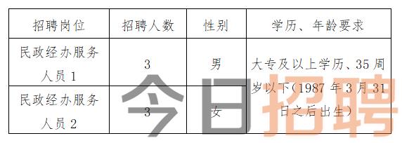 昭通市昭阳区最新招聘动态深度解析及招聘公告速递